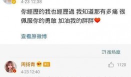 何超莲爆料吴克群视频,揭秘娱乐圈背后的真相